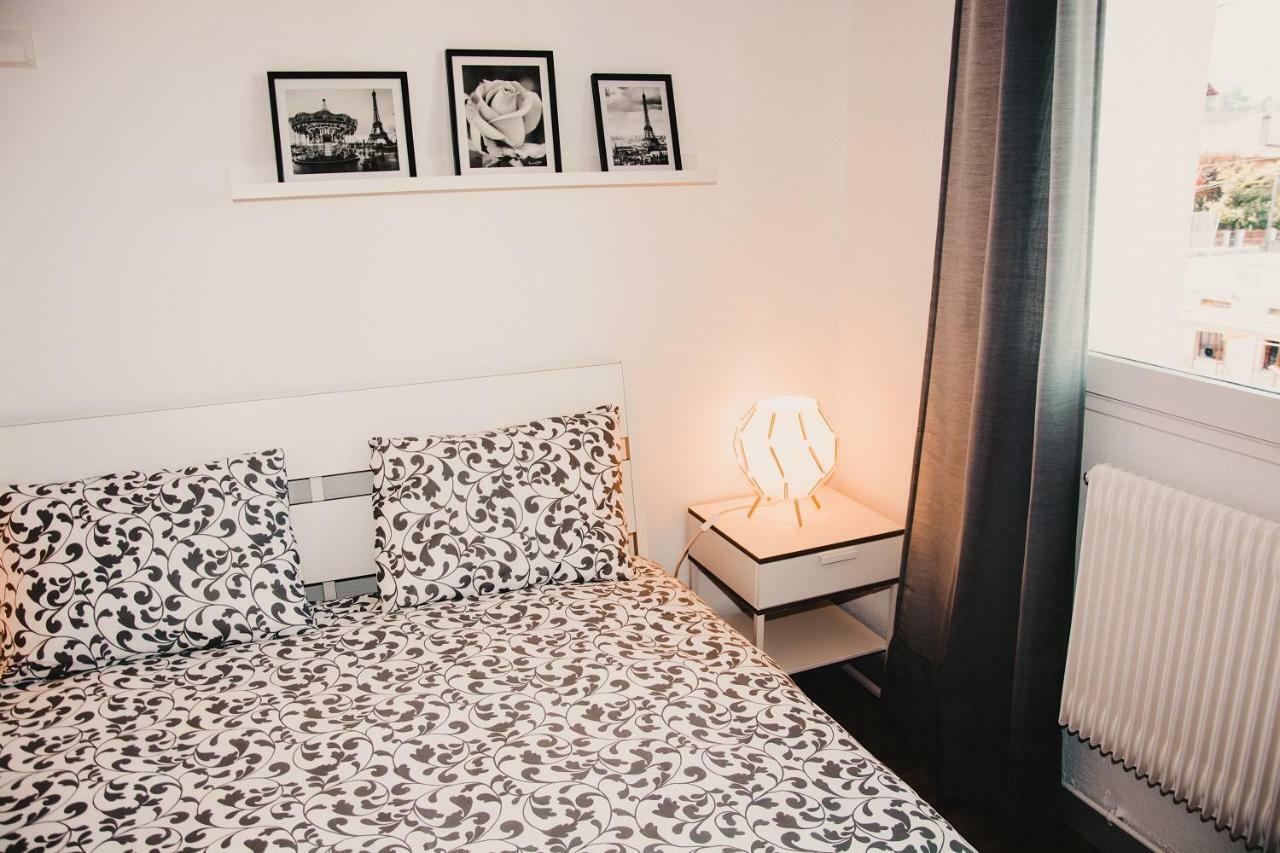 Le Palazzo - Appartement Avec Parking Privatif Άννεσι Εξωτερικό φωτογραφία